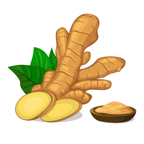 Ginseng Extract