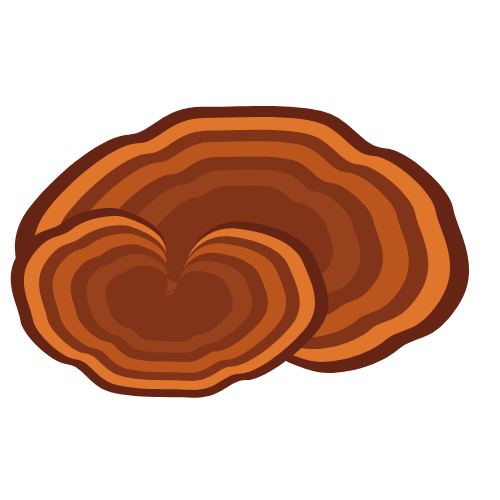 Ganoderma Lucidum Extract